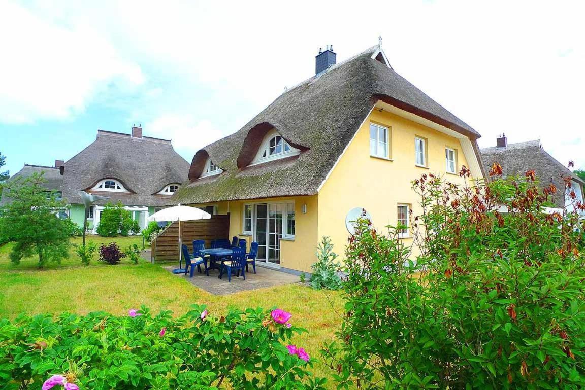 בורן Ferienhaus An Der Alten Waldschaenke Ws-11A מראה חיצוני תמונה